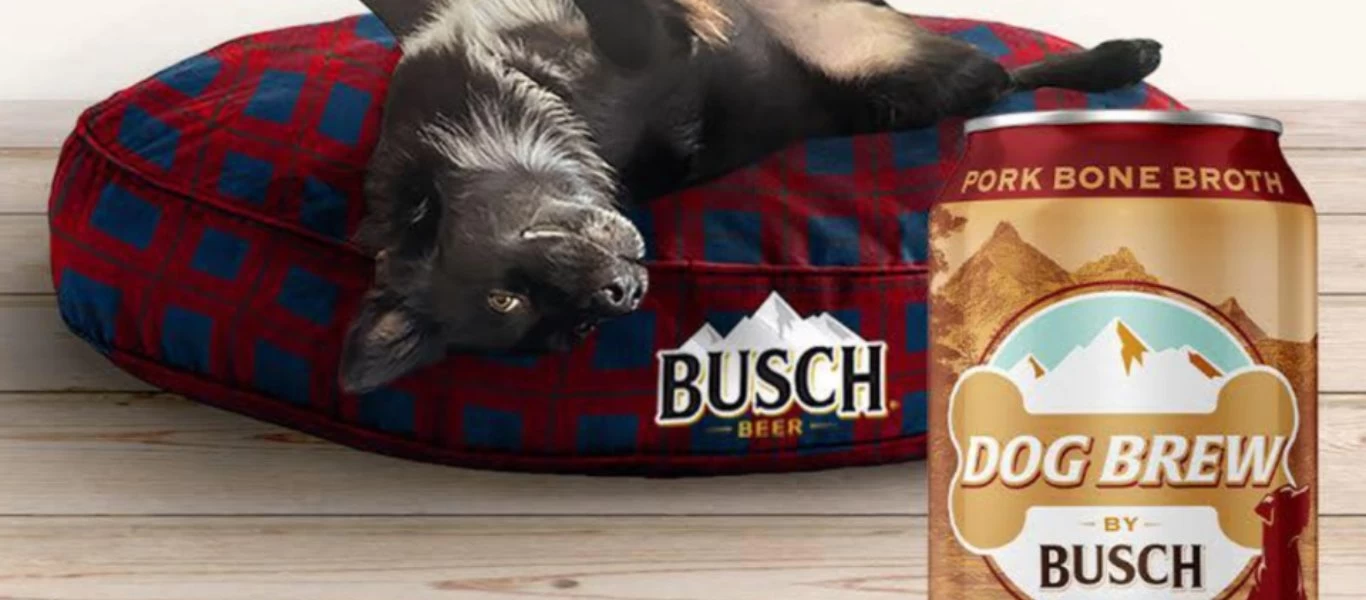 Εταιρία παραγωγής μπύρας ζητά τετράποδο δοκιμαστή με εντυπωσιακές απολαβές (βίντεο)